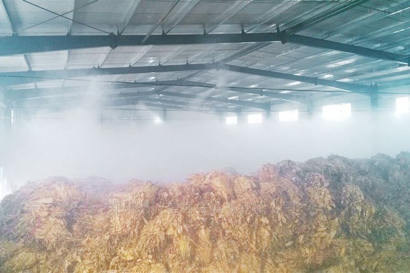 提升煙葉加工質量，高效回潮很重要