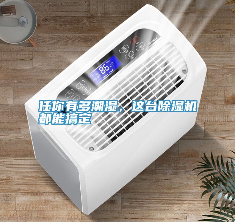 任你有多潮濕，這臺(tái)除濕機(jī)都能搞定