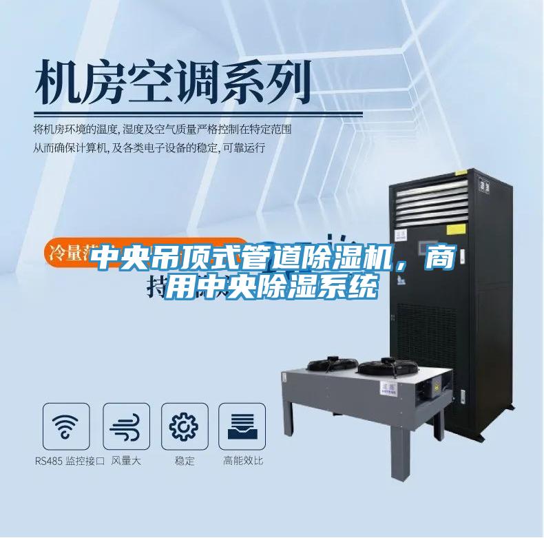 中央吊頂式管道除濕機(jī)，商用中央除濕系統(tǒng)