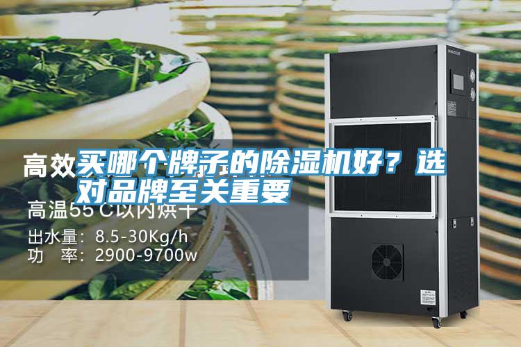 買哪個牌子的除濕機好？選對品牌至關重要