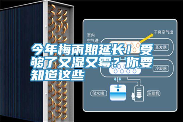 今年梅雨期延長(zhǎng)！受夠了又濕又霉？你要知道這些