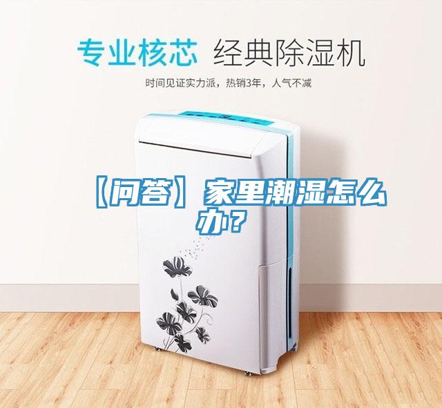 【問答】家里潮濕怎么辦？