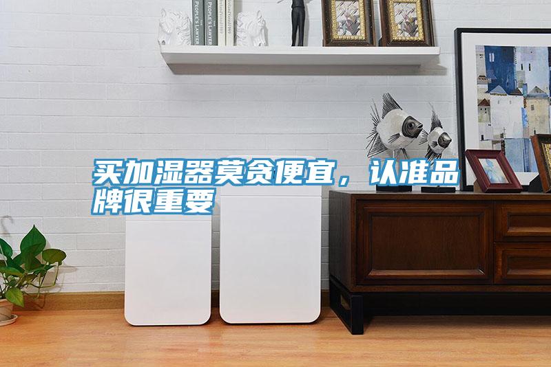 買加濕器莫貪便宜，認準品牌很重要