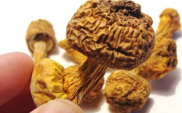 巴西菇、姬松茸烘干機(jī)-怎樣烘干色澤好且菇體褶片完整？