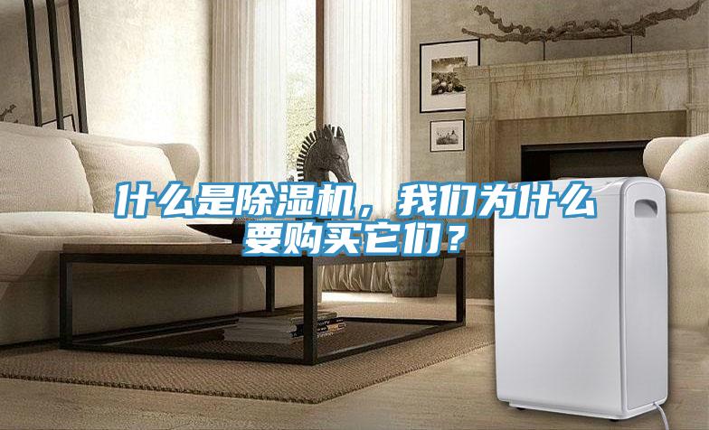 什么是除濕機，我們?yōu)槭裁匆徺I它們？