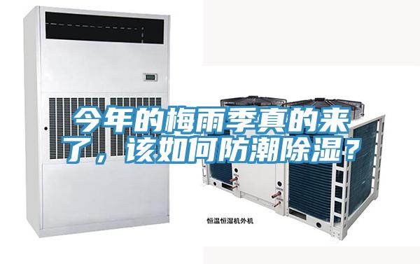 今年的梅雨季真的來了，該如何防潮除濕？