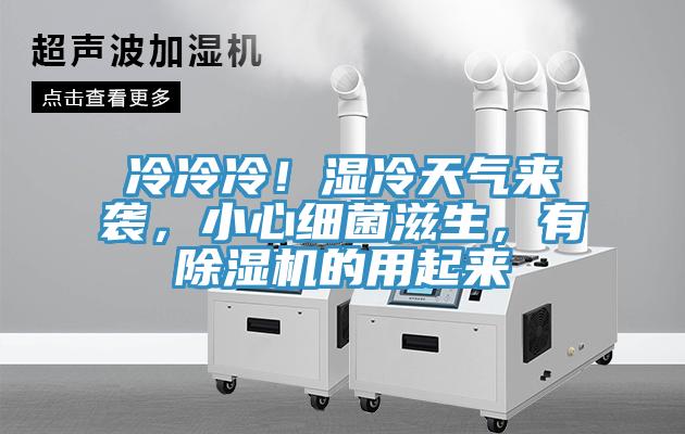 冷冷冷！濕冷天氣來襲，小心細菌滋生，有除濕機的用起來