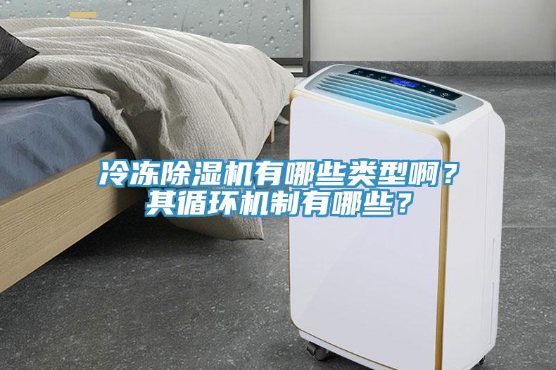 冷凍除濕機有哪些類型??？其循環(huán)機制有哪些？