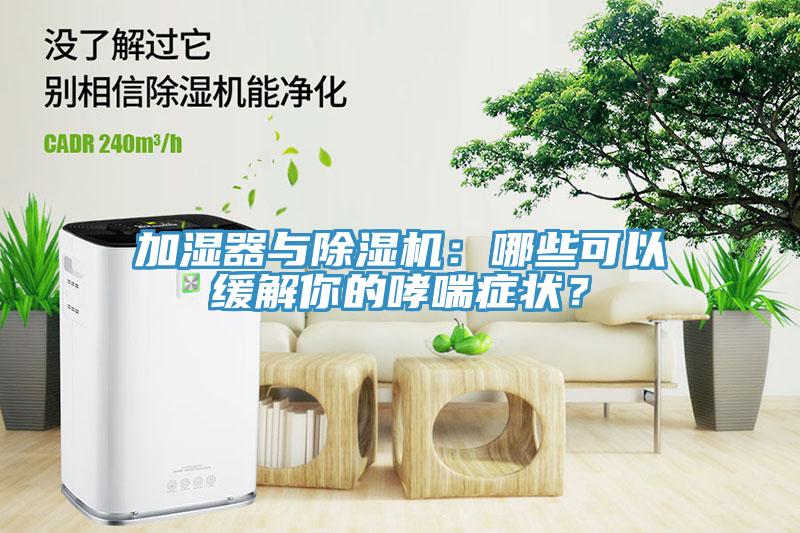 加濕器與除濕機(jī)：哪些可以緩解你的哮喘癥狀？