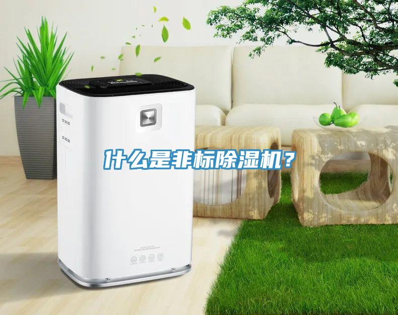 什么是非標(biāo)除濕機？