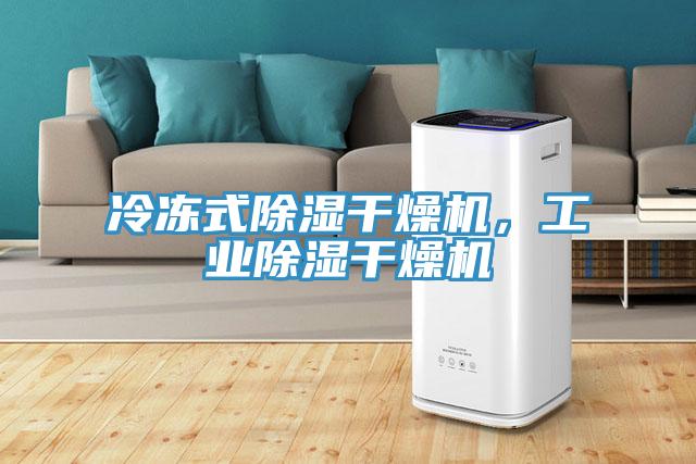 冷凍式除濕干燥機，工業(yè)除濕干燥機