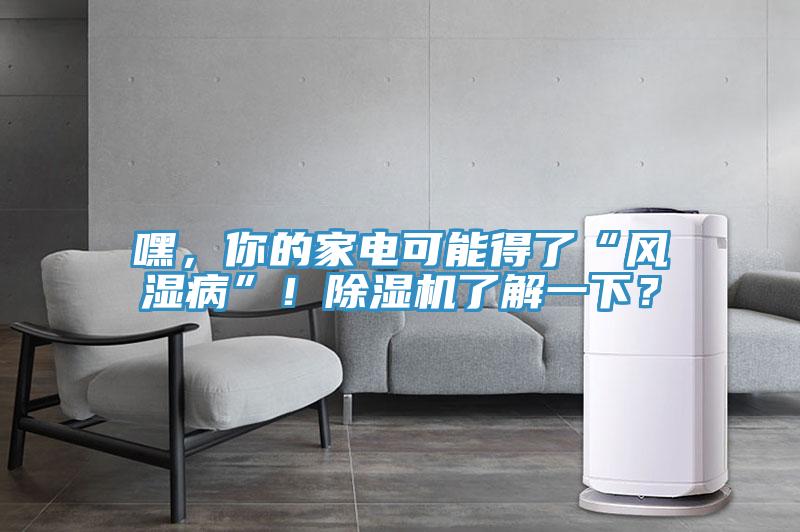 嘿，你的家電可能得了“風(fēng)濕病”！除濕機(jī)了解一下？