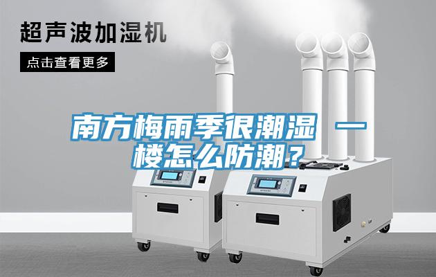 南方梅雨季很潮濕 一樓怎么防潮？
