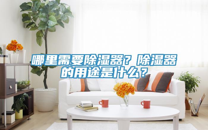 哪里需要除濕器？除濕器的用途是什么？