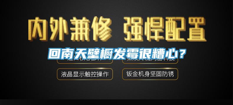 回南天壁櫥發(fā)霉很糟心？