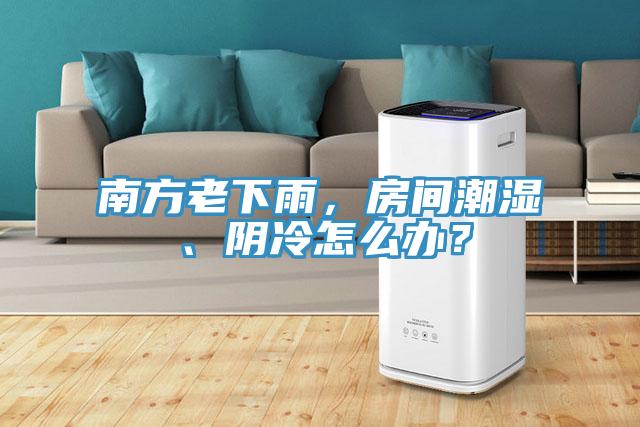 南方老下雨，房間潮濕、陰冷怎么辦？
