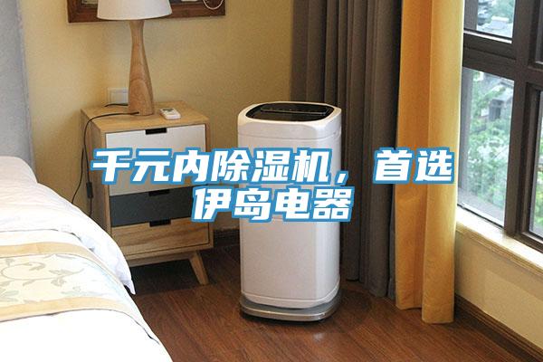 千元內(nèi)除濕機，首選伊島電器