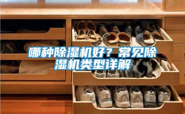 哪種除濕機(jī)好？常見除濕機(jī)類型詳解