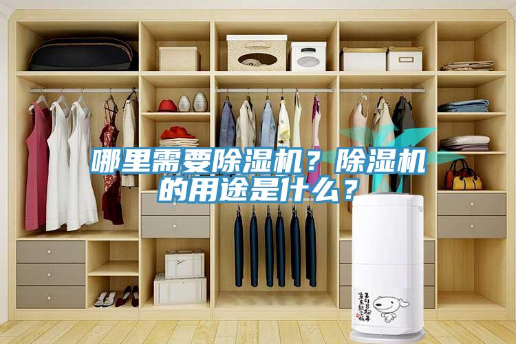 哪里需要除濕機(jī)？除濕機(jī)的用途是什么？