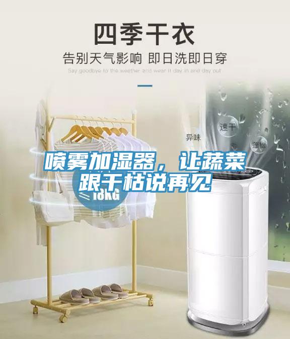噴霧加濕器，讓蔬菜跟干枯說再見