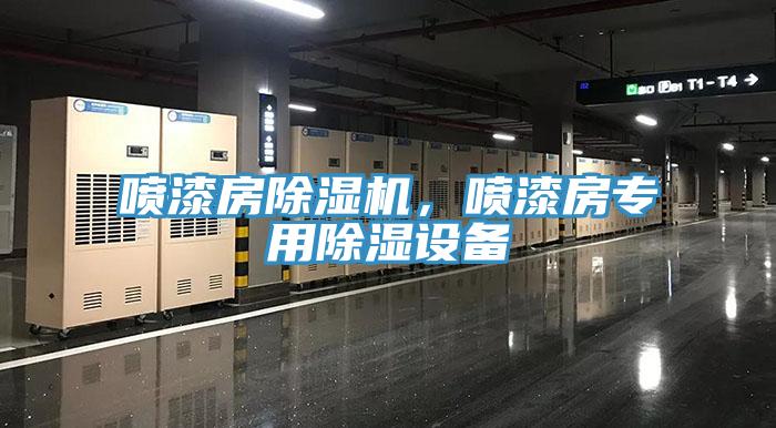 噴漆房除濕機(jī)，噴漆房專(zhuān)用除濕設(shè)備