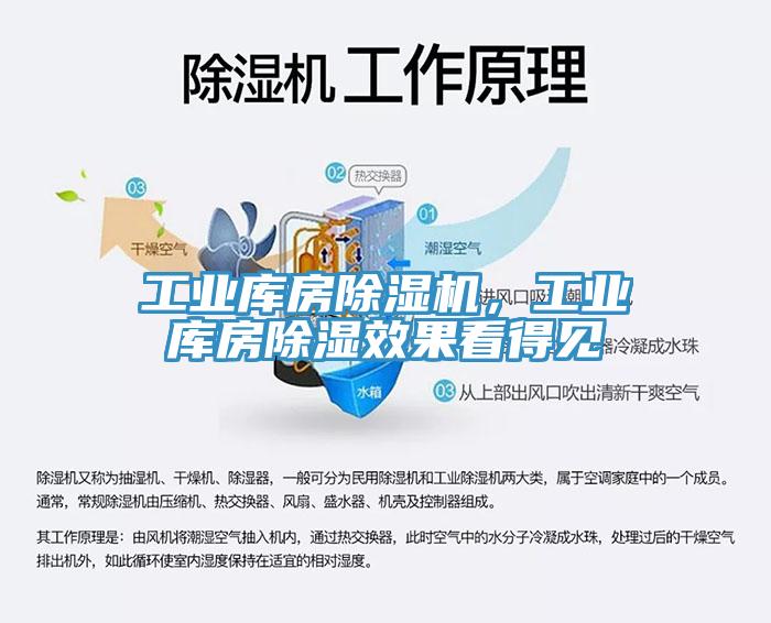 工業(yè)庫(kù)房除濕機(jī)，工業(yè)庫(kù)房除濕效果看得見