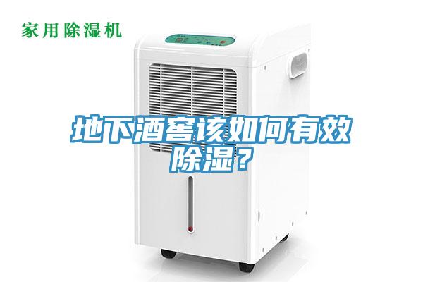地下酒窖該如何有效除濕？
