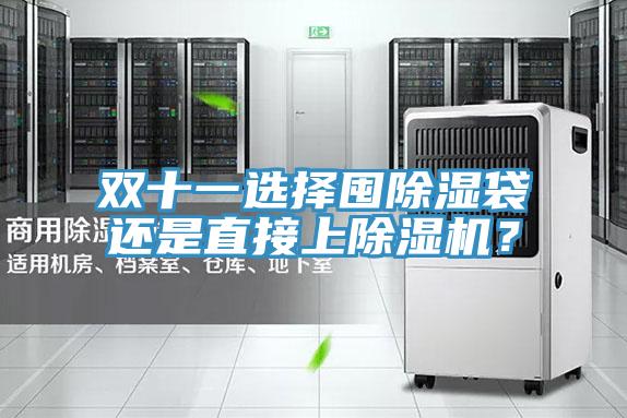 雙十一選擇囤除濕袋還是直接上除濕機？