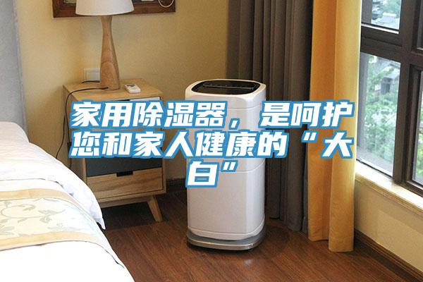 家用除濕器，是呵護(hù)您和家人健康的“大白”