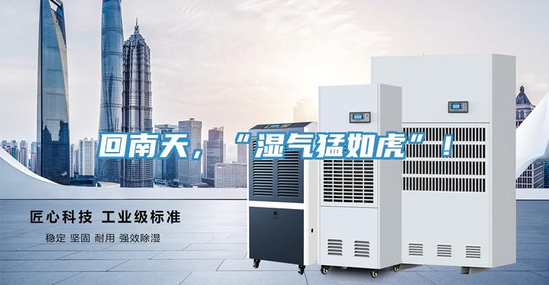 回南天，“濕氣猛如虎”！