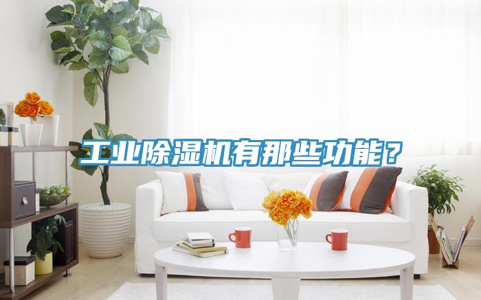 工業(yè)除濕機(jī)有那些功能？