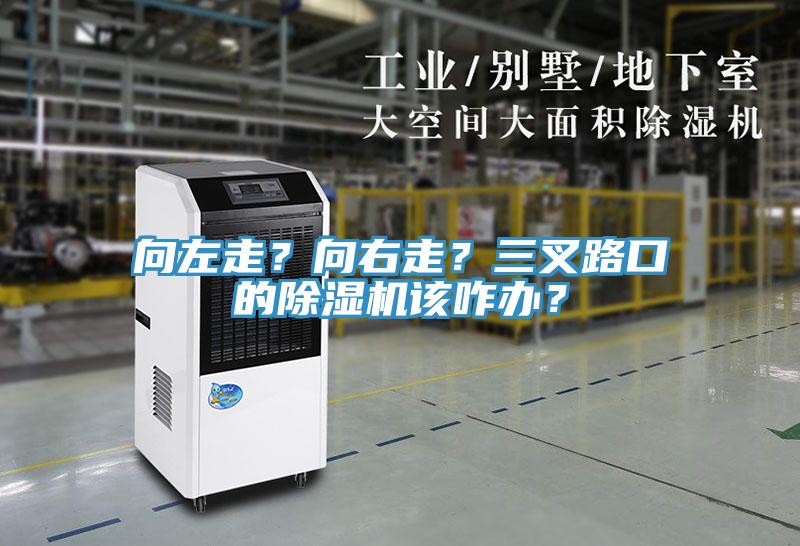 向左走？向右走？三叉路口的除濕機該咋辦？