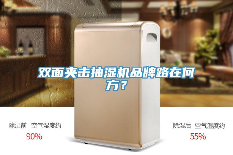 雙面夾擊抽濕機(jī)品牌路在何方？