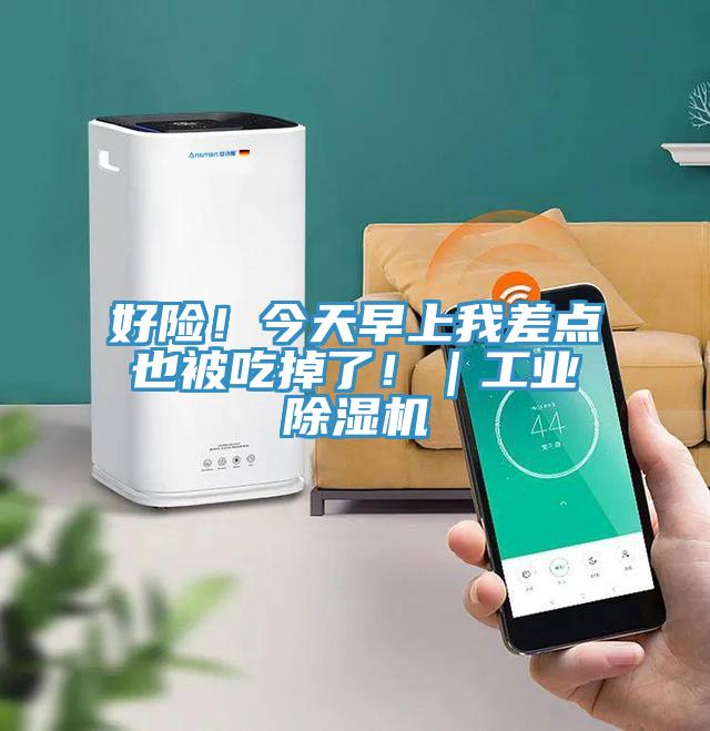 好險！今天早上我差點(diǎn)也被吃掉了?。I(yè)除濕機(jī)