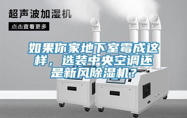 如果你家地下室霉成這樣，選裝中央空調(diào)還是新風(fēng)除濕機(jī)？