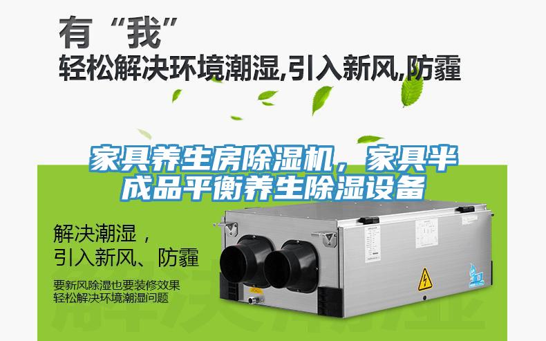 家具養(yǎng)生房除濕機，家具半成品平衡養(yǎng)生除濕設(shè)備