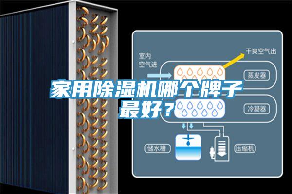 家用除濕機哪個牌子最好？