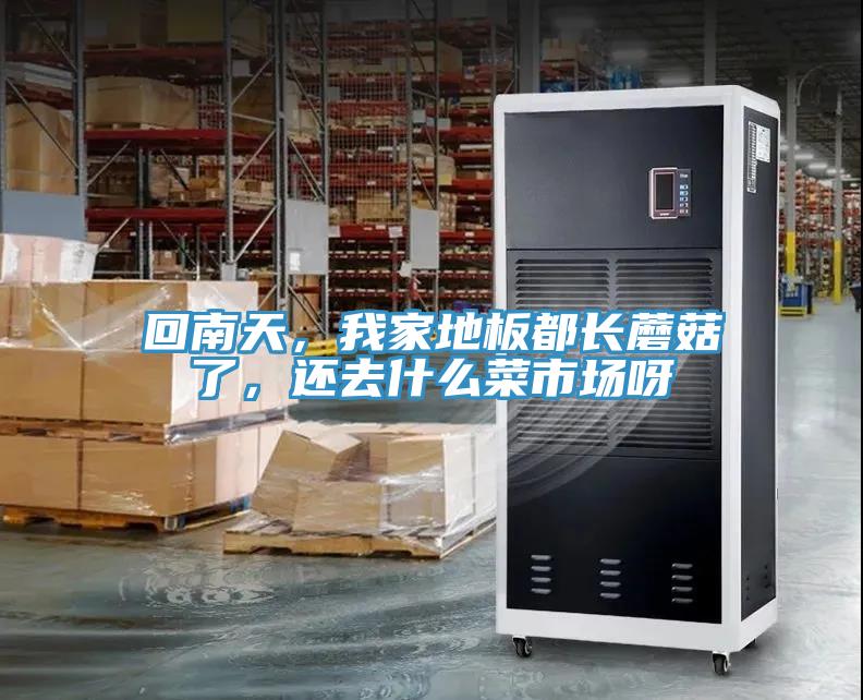 回南天，我家地板都長蘑菇了，還去什么菜市場呀
