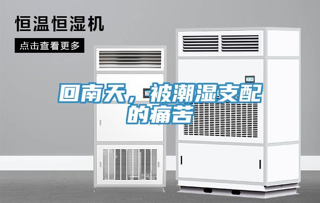 回南天，被潮濕支配的痛苦