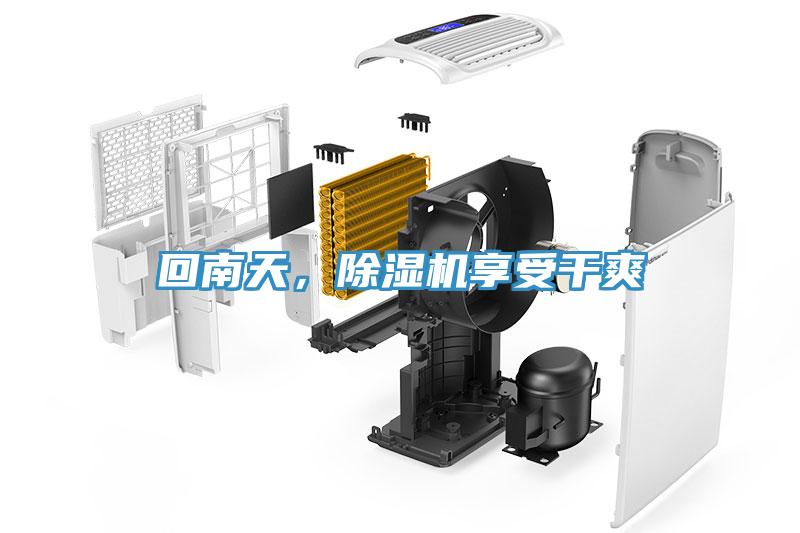 回南天，除濕機享受干爽