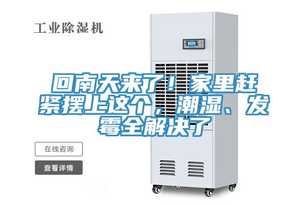 回南天來(lái)了！家里趕緊擺上這個(gè)，潮濕、發(fā)霉全解決了