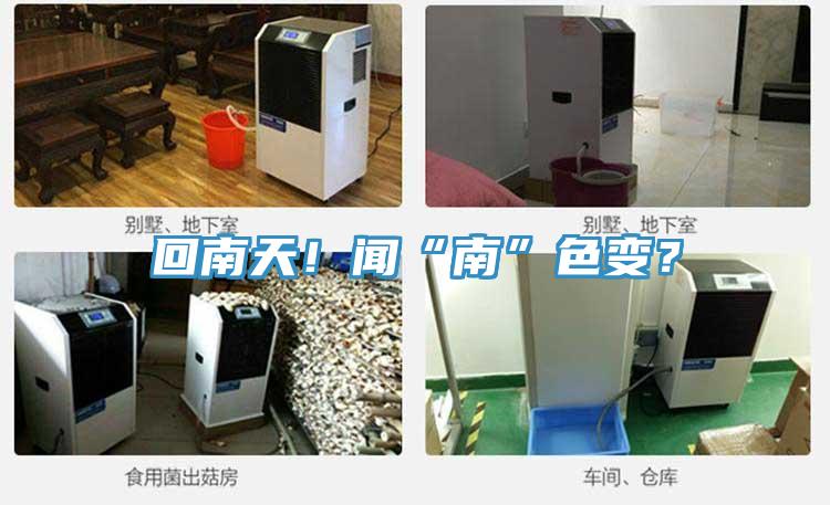 回南天！聞“南”色變？