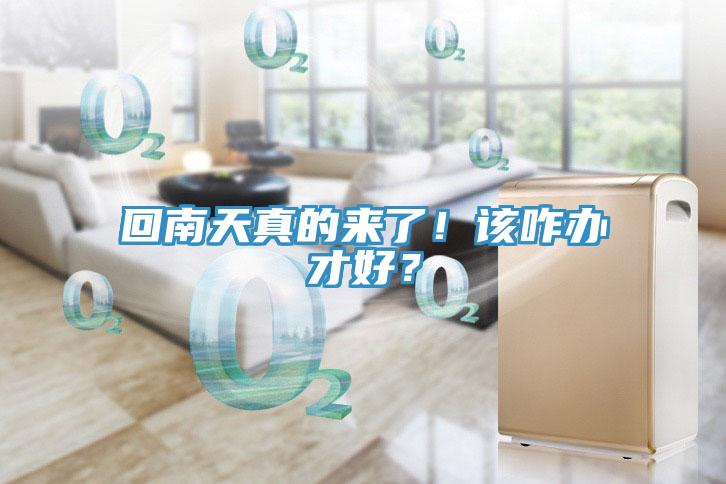 回南天真的來了！該咋辦才好？