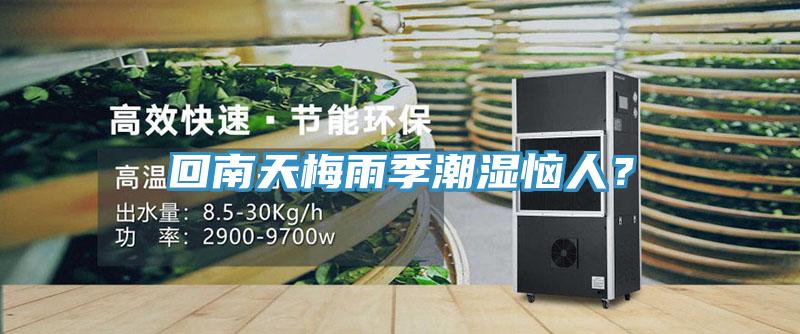 回南天梅雨季潮濕惱人？