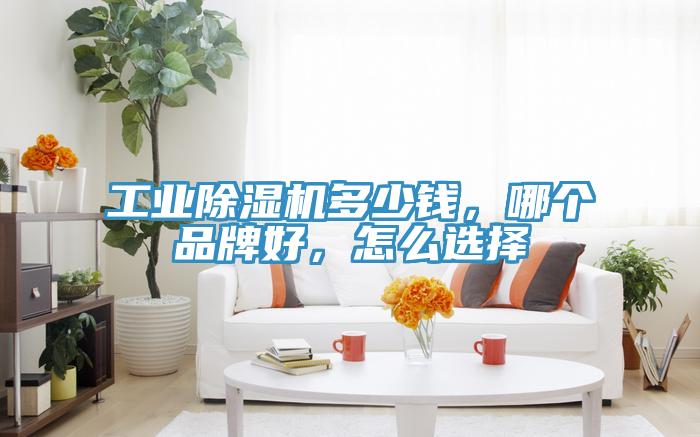 工業(yè)除濕機(jī)多少錢(qián)，哪個(gè)品牌好，怎么選擇