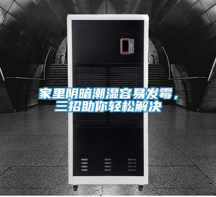 家里陰暗潮濕容易發(fā)霉，三招助你輕松解決