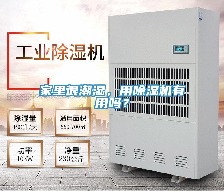 家里很潮濕，用除濕機有用嗎？