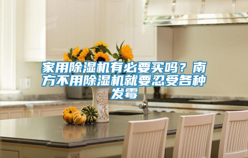 家用除濕機有必要買嗎？南方不用除濕機就要忍受各種發霉