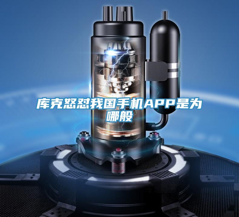 庫克怒懟我國(guó)手機(jī)APP是為哪般