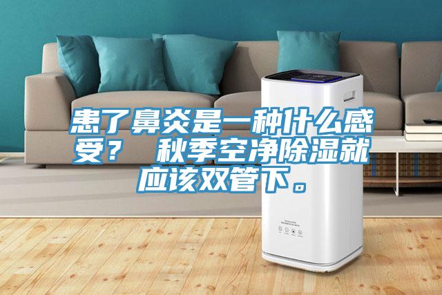 患了鼻炎是一種什么感受？ 秋季空凈除濕就應(yīng)該雙管下。